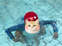 -沈坚强游泳俱乐部(长征分部)