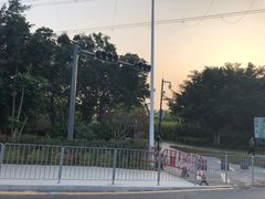 -福田红树林生态公园