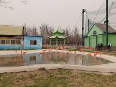 -秦皇岛野生动物园