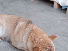 -隹木咖啡馆(宝龙广场店)