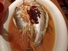 -云海肴·汽锅鸡·云南菜(天山百盛优客店)