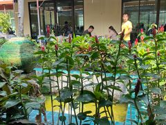 -Ob Aroi Town In Town (Not Ob Aroi franchise)