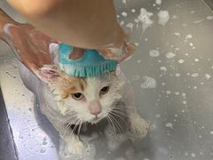 -欧奕国际动物医院