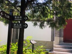 -阳台山自然风景区