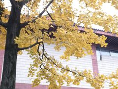 -浙江省博物馆(孤山馆区)