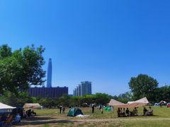-泰丰公园