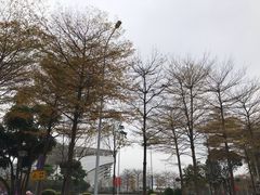 -翠华餐厅(正佳广场店)