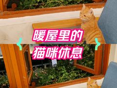 -猫的天空之城概念书店(苏州平江店)