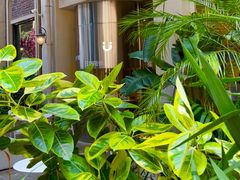 -迦南的早晨蛋糕甜品集合店