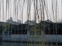 -水绘园