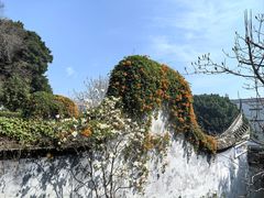 -乌山风景区