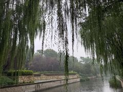 -元大都城垣遗址公园