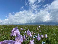 -赛里木湖风景名胜区