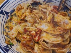 -后卫寨猫耳朵(后卫寨店)