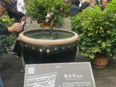 -山西王家大院