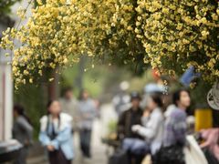 -苏州姑苏小院·东花里酒店