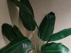 -泰合玺·精油疗愈 SPA(南京河西万达店)