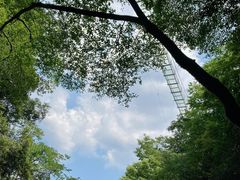 -藏龙百瀑风景区