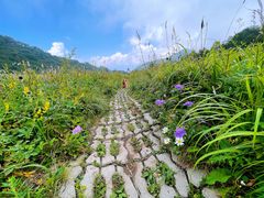 -白草畔自然风景区