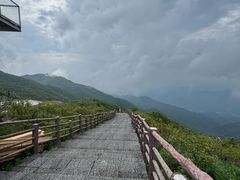-大围山国家森林公园