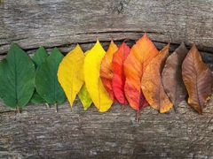 -星巴克(北京广渠门名敦道店)