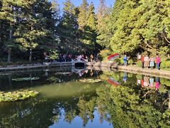 -庐山风景区花径公园