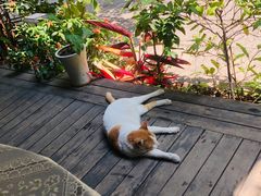 -默迹咖啡馆