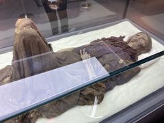 -巴音郭楞蒙古自治州博物馆