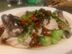 鲜椒鲈鱼-大铁勺新津菜(迎水道店)