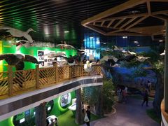 -黄海国家森林公园