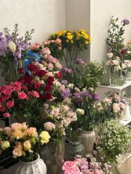 -WAVE SODA摄影工作室