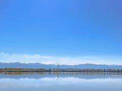 -野鸭湖国家湿地公园