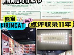 -麒麟缅因猫舍·十五年缅因猫选购中心