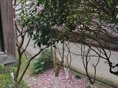 -乌镇枕水度假酒店