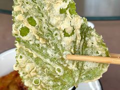 -晓琦农家菜馆·地道农家菜