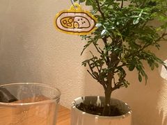 -CURRY YA 熟成咖哩專門店(深圳湾万象城店)
