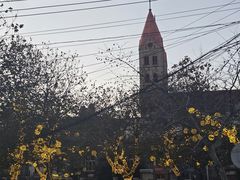 -青岛市口腔医院(总院)