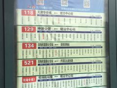 -塘沽森林公园