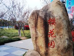 -高东镇樱花园