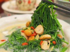 -山水茶艺馆·点心粤菜·30年老字号