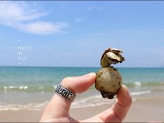 -神州半岛海上运动俱乐部