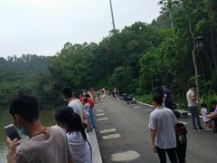 -滴水岩森林公园