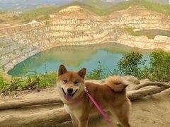 -黄埔油麻山森林公园