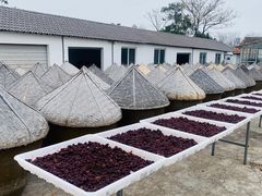 -苏州市吴中区光福窑上花果蜜饯厂