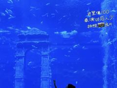 -南昌融创海世界