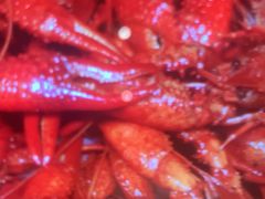 -翼精致料理(昆山旗舰店)