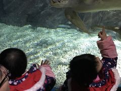 -福州罗源湾海洋世界旅游区