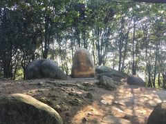 -广州市帽峰山景区
