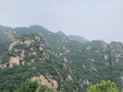-大岭沟猕猴桃谷风景区