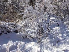 -亚布力新体委滑雪场